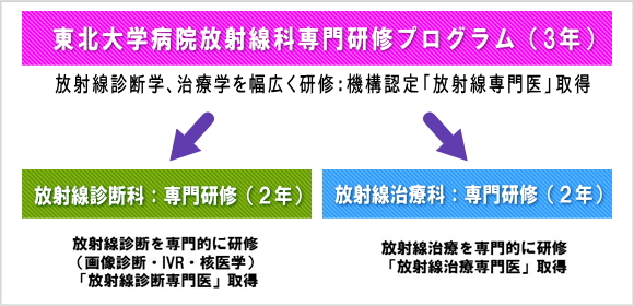 図 臨床後期研修プログラムの流れ